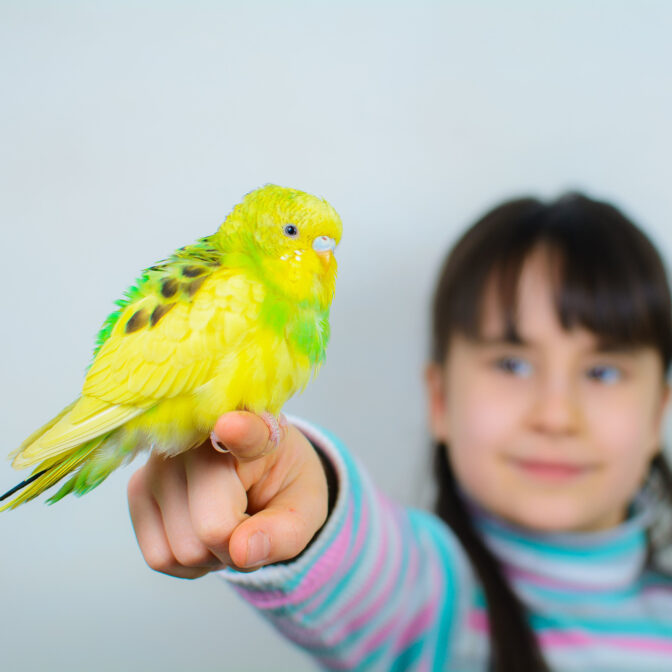 はじめましてテラスペットです