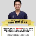 鳥さんのごはんは獣医さん推薦