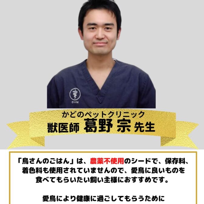 鳥さんのごはんは獣医さん推薦