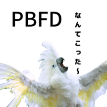 PBFDにセキセイ インコやオウムに感染が多い理由