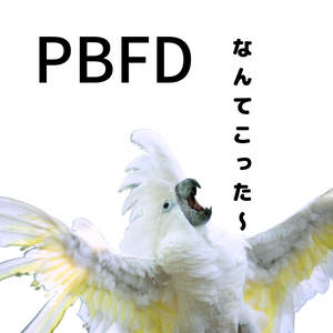 PBFDにセキセイ インコやオウムに感染が多い理由