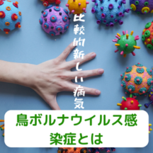 鳥ボルナウイルス感染症とは