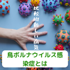 鳥ボルナウイルス感染症とは